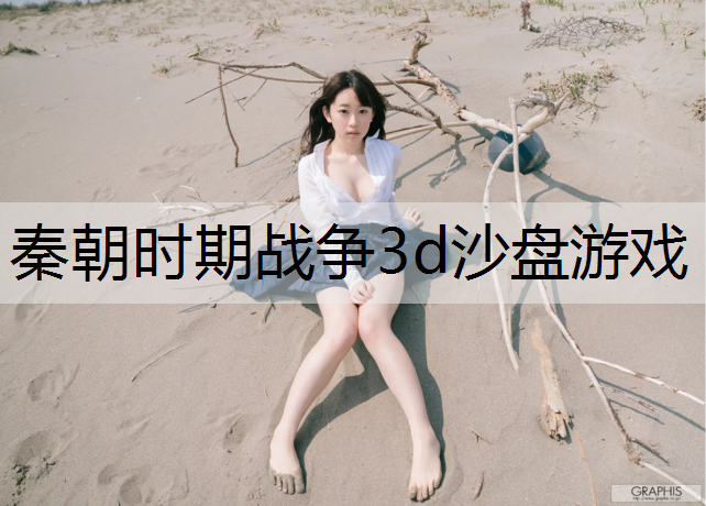 秦朝时期战争3d沙盘游戏