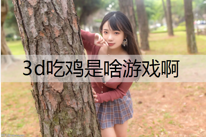 3d吃鸡是啥游戏啊