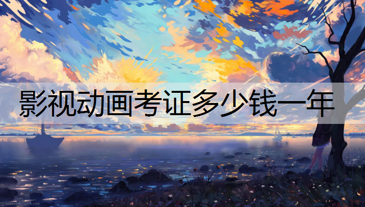 影视动画考证多少钱一年