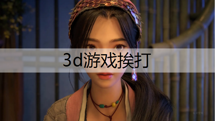 3d游戏挨打
