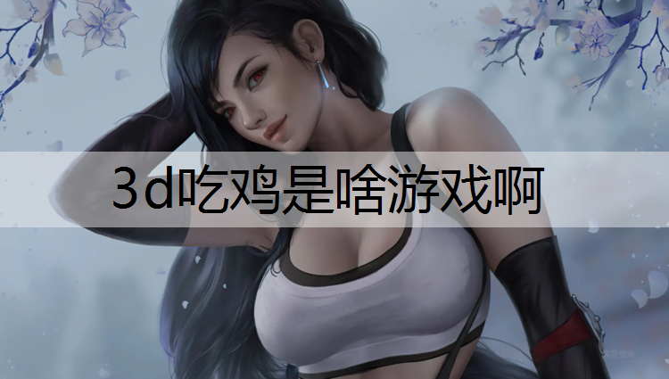 3d吃鸡是啥游戏啊