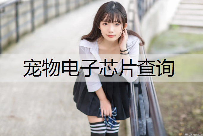 宠物电子芯片查询