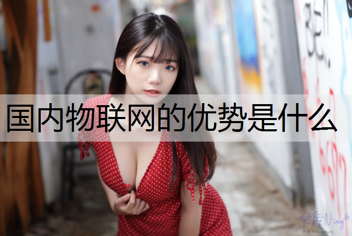 国内物联网的优势是什么
